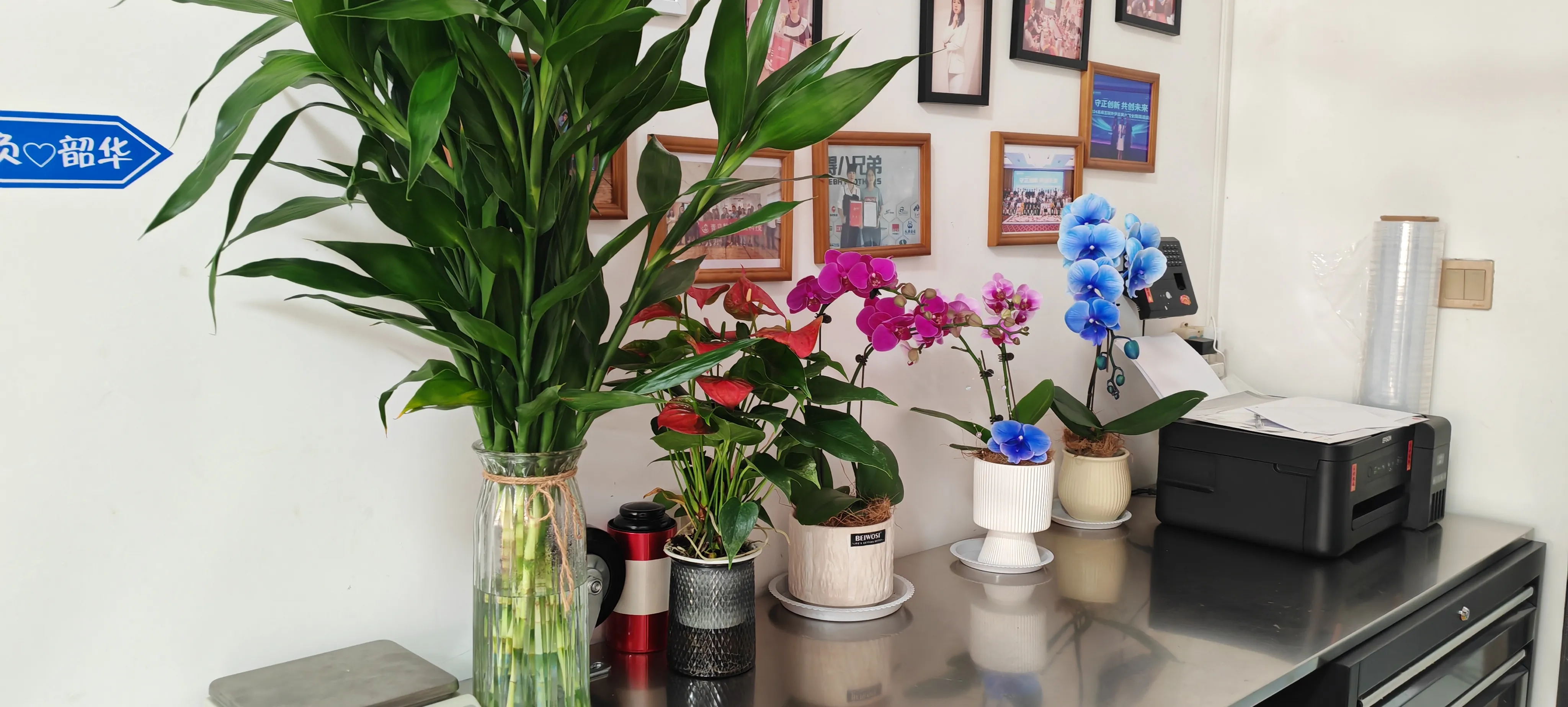 جوجو پیک کے نئے دوستوں کا استقبال ہے!