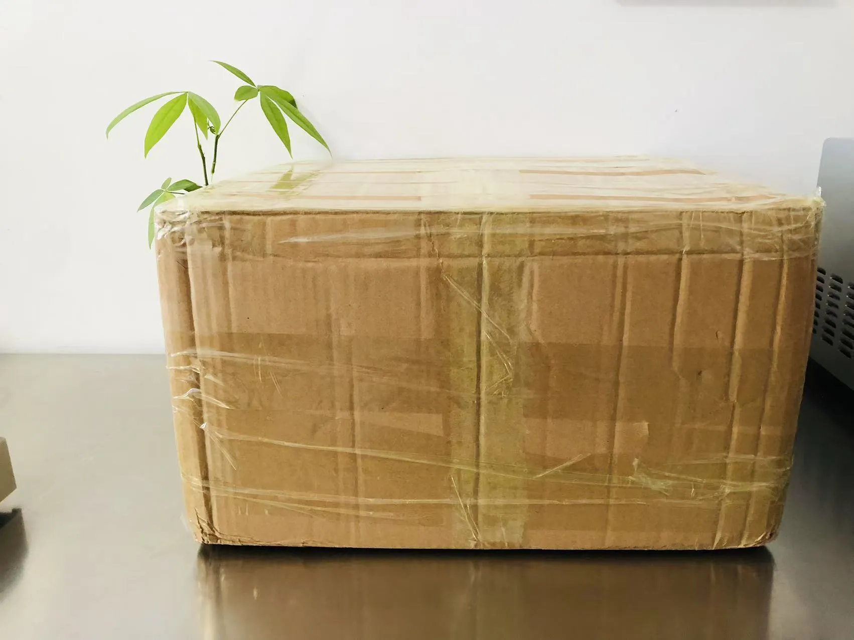 کارٹون سالڈ ایپوکسی اسٹیکرز اب جاپان کے راستے پر ہیں۔